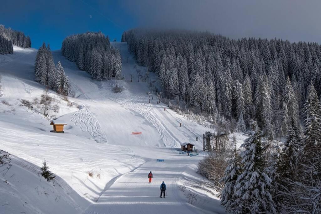 Le Relai S34 - Grand et lumineux studio avec coin montagne 4-6 pers, 50m des pistes, grand balcon exposé SUD, DRAPS NON COMPRIS Saint-Jean-dʼAulps Exterior foto